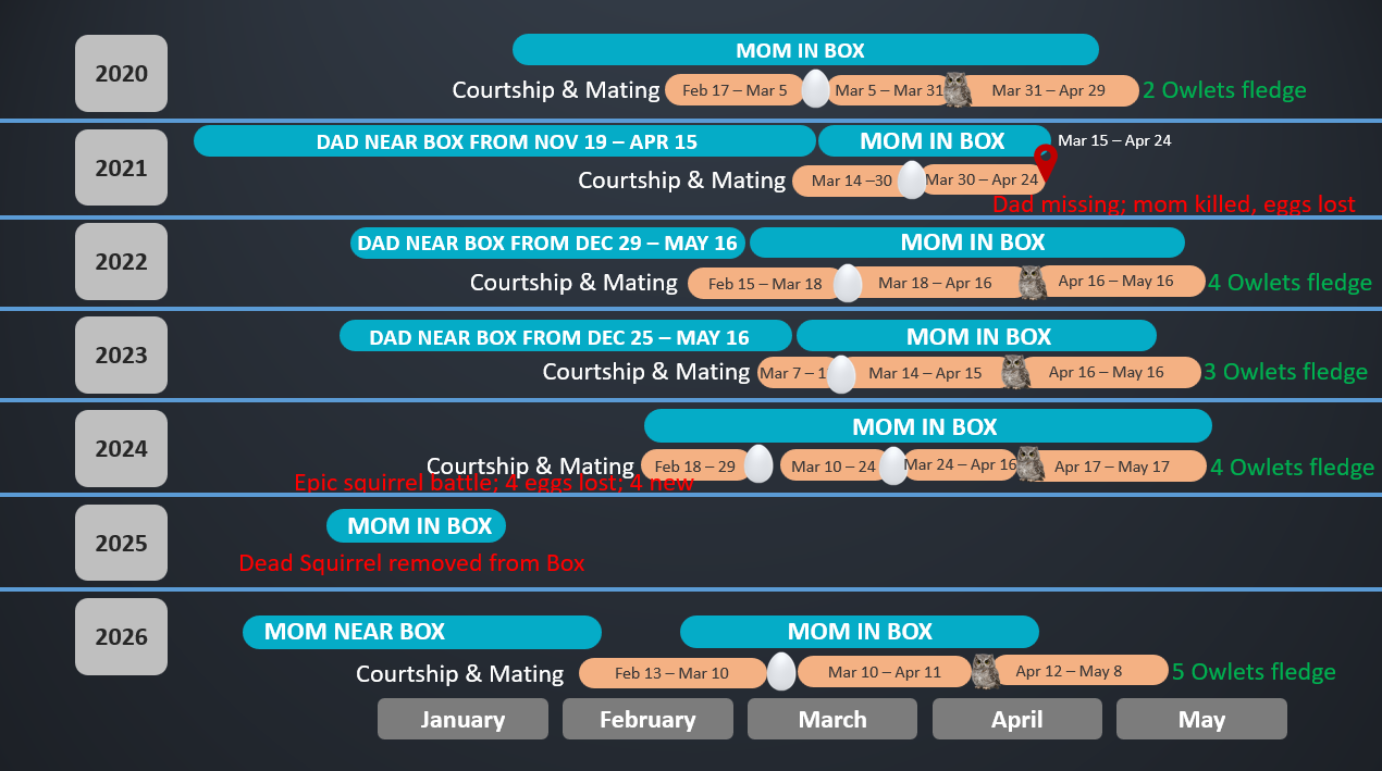 Seven year visual calendar